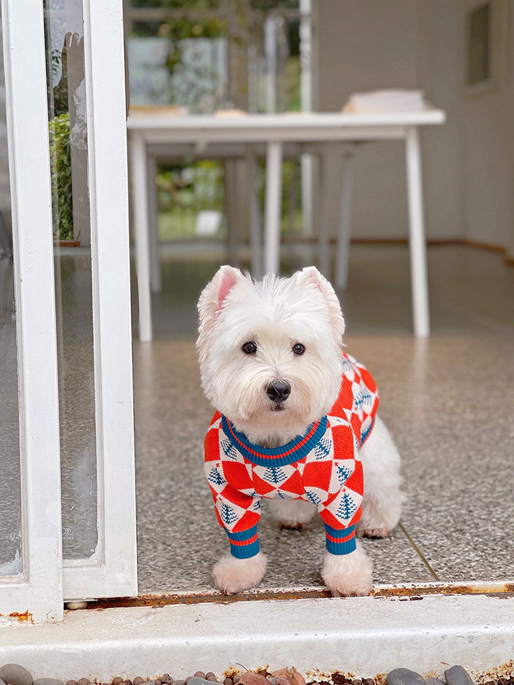 Pug Shiba Inu French Fighting Sweater Cat And Dog Winter Clothes